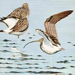 Katsuyuki Makishima Gallery